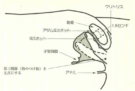 指 性感 帯|Gスポットの確実な探し方3選【図解・動画】：女性の中イキ性感帯.